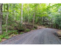 1099 WOLFKIN LAKE ROAD - 39