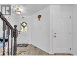 35 BORLAND DRIVE - 5