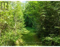 413669 ROAD 41A - 36