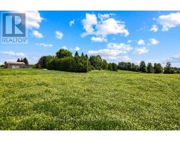 135347 8 CONCESSION - 40