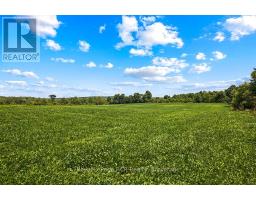 135347 8 CONCESSION - 41