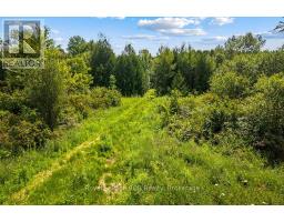 135347 8 CONCESSION - 50