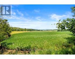 242 PLEASANTVIEW ROAD - 16