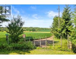 242 PLEASANTVIEW ROAD - 17