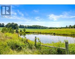 242 PLEASANTVIEW ROAD - 19