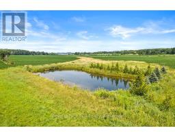 242 PLEASANTVIEW ROAD - 20
