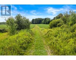 242 PLEASANTVIEW ROAD - 25