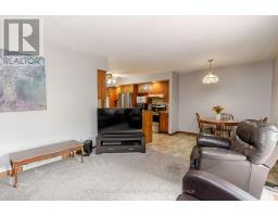 229 BRIARHILL DRIVE - 21