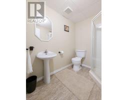 229 BRIARHILL DRIVE - 39