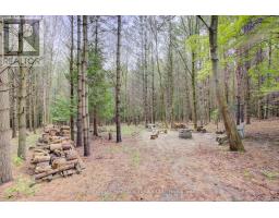 262845 VARNEY ROAD - 39