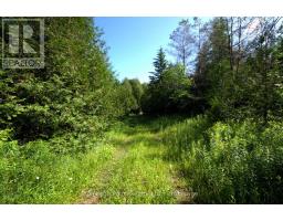 775381 10 HIGHWAY N - 16