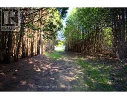 775381 10 HIGHWAY N - 20