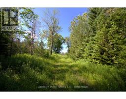775381 10 HIGHWAY N - 23