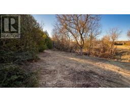 401619 GREY ROAD 4 - 5