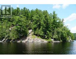 29 THORBURN LANE - 16
