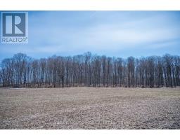 458523 8 CONCESSION - 33