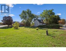 239 ELIZABETH STREET - 2