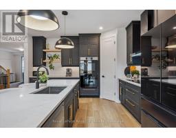 203 SCHMIDT DRIVE - 17