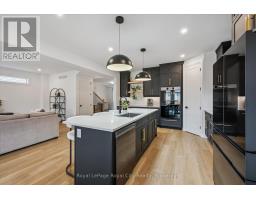 203 SCHMIDT DRIVE - 18