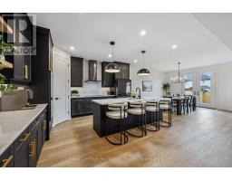 203 SCHMIDT DRIVE - 20