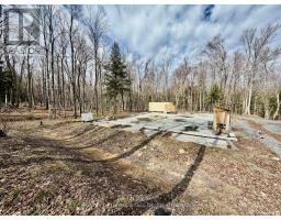 2388 DOE LAKE ROAD - 12