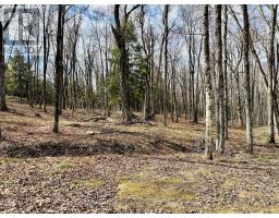2388 DOE LAKE ROAD - 19