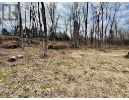 2388 DOE LAKE ROAD - 31