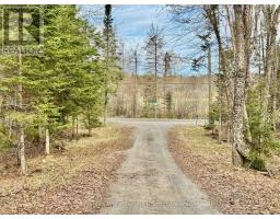 2388 DOE LAKE ROAD - 35