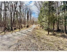 2388 DOE LAKE ROAD - 5