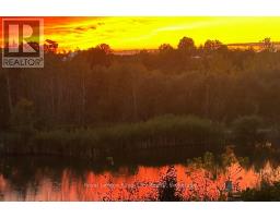 262 DOLMAN STREET - 35