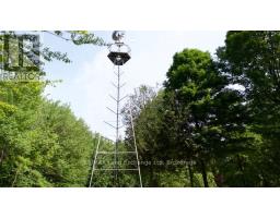 35 SIDEROAD 10A - 34