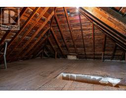 193 DOUGLAS STREET - 30