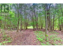 211269 BASELINE ROAD - 39