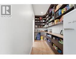 949 BOGDANOVIC WAY - 21