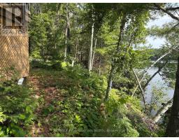 10597 BLACK LAKE WAO - 13
