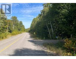 4488 KAWAGAMA LAKE ROAD - 10