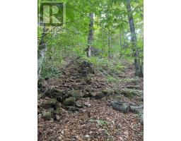 4488 KAWAGAMA LAKE ROAD - 11