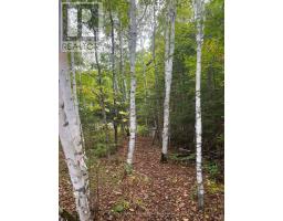 4488 KAWAGAMA LAKE ROAD - 12
