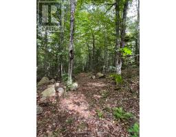 4488 KAWAGAMA LAKE ROAD - 13