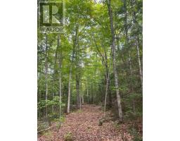 4488 KAWAGAMA LAKE ROAD - 14