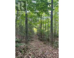 4488 KAWAGAMA LAKE ROAD - 15