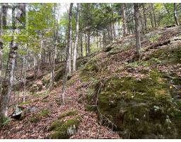 4488 KAWAGAMA LAKE ROAD - 16
