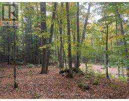 4488 KAWAGAMA LAKE ROAD - 17