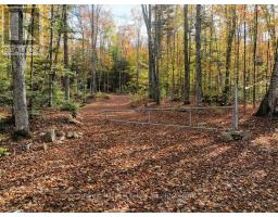 4488 KAWAGAMA LAKE ROAD - 18