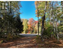 4488 KAWAGAMA LAKE ROAD - 19