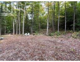 4488 KAWAGAMA LAKE ROAD - 2