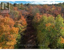 4488 KAWAGAMA LAKE ROAD - 24