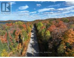 4488 KAWAGAMA LAKE ROAD - 25