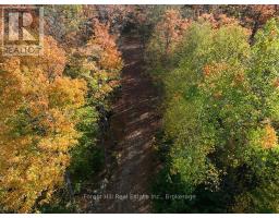 4488 KAWAGAMA LAKE ROAD - 26