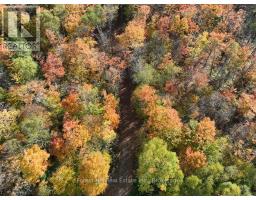 4488 KAWAGAMA LAKE ROAD - 27